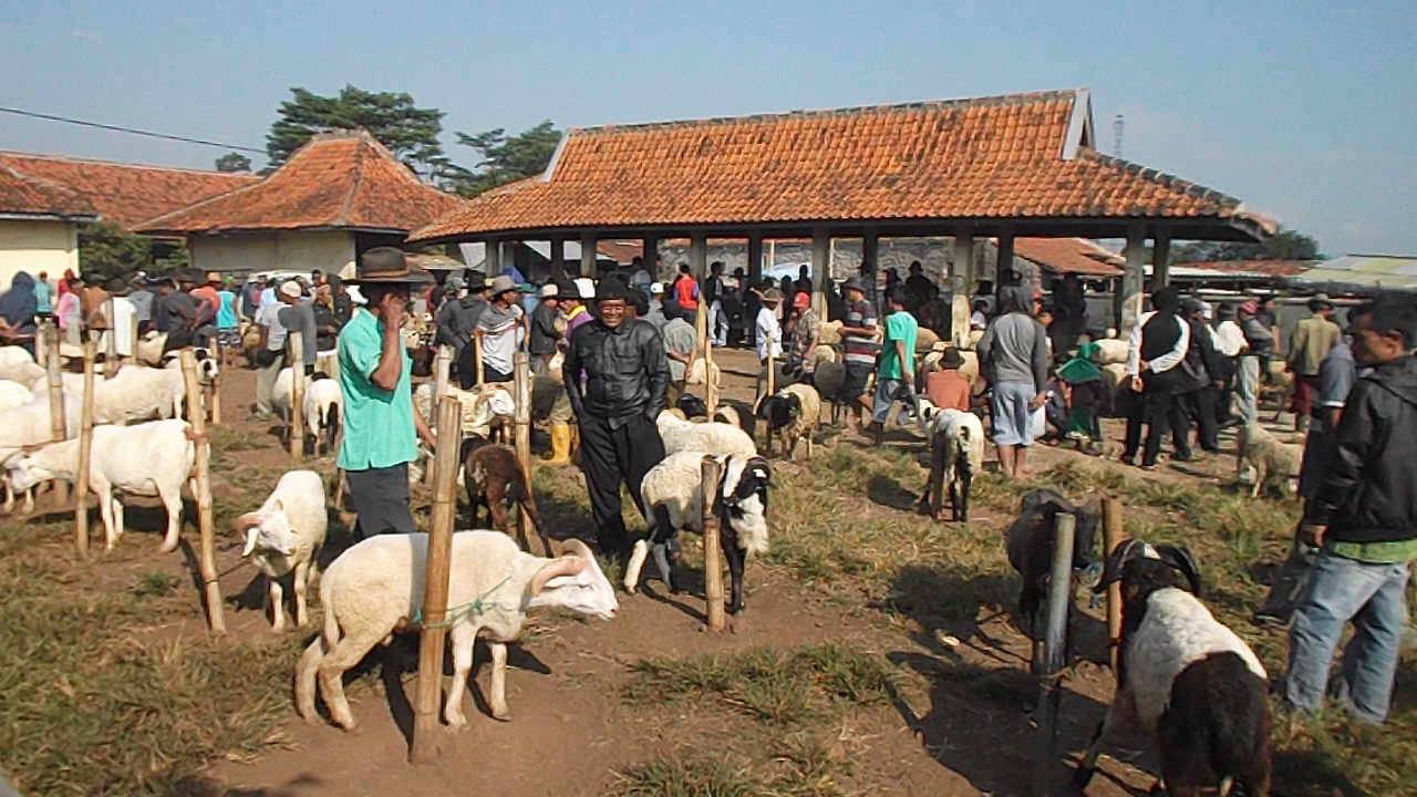Pasar Domba Wanaraja Garut YouTube