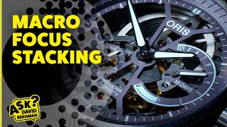Famous Macro Focus Stacking | Ask David Bergman Net Worth