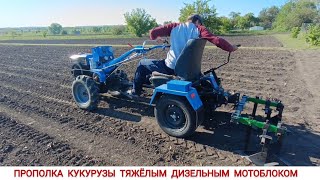 ПРОПОЛКА КУКУРУЗЫ ТЯЖЁЛЫМ ДИЗЕЛЬНЫМ МОТОБЛОКОМ / WEEDING CORN