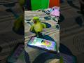 Mithu Ki Masti 🦜💚😂 | Sabko Hasa Dega #mithu #mithumithu