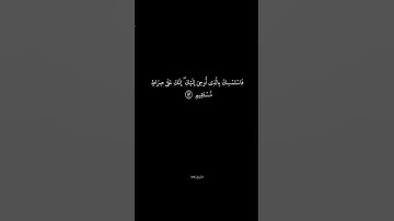 سورة الزخرف الآية 43-44 القارئ محمد صديق المنشاوي #تذكير_بالله #انشروا_القران #الدال_على_خير_كفاعله