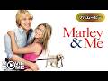 【吹き替え】マーリー 世界一おバカな犬が教えてくれたこと | Marley &amp; Me (犬, 感動, ファミリー, 洋画, 無料フル)