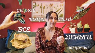 видео: Мои покупки с Орхидиума и Кактус-феста/Никогда так много не тратила!😱  картинка: Мои покупки с Орхидиума и Кактус-феста/Никогда так много не тратила!😱