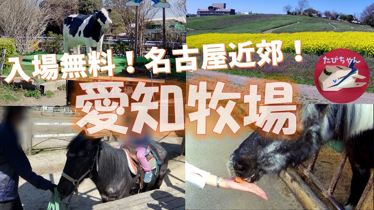 「入場無料！愛知牧場」 名古屋近郊で動物とふれあえる [Aichi Ranch. Admission Free! Petting animals in the suburbs of Nagoya]
