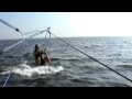 Beginning of video