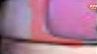 [Speed edit] Fun time Fred bear