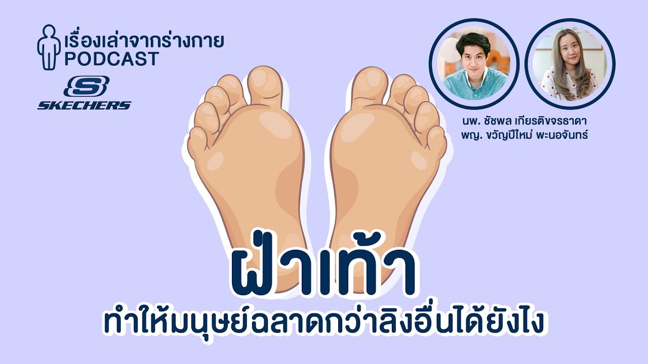 ฝ่าเท้าทำให้มนุษย์ฉลาดกว่าลิงอื่นได้ยังไง? x Skechers GoWalk Arch Fit : [EP12] เรื่องเล่าจากร่างกาย