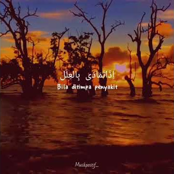 STORY WA SHOLAWAT!!!! INAL HABIBALMUSTOFA 30 DETIK