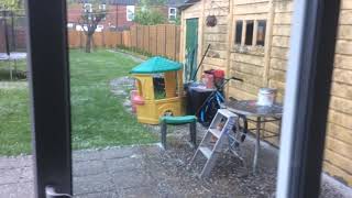 9A696Ce5 42C0 4E2C 906C C0Dc30F947F8