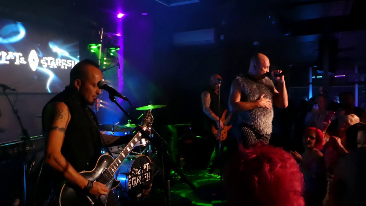 Chocolate Starfish - Mountain