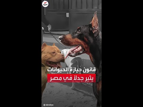 فيديو: الكلب داء الكلب التطعيم الآثار الجانبية