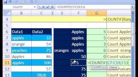 Excel Magic Trick #180: COUNTIF function formula 21 Examples of Different Criteria