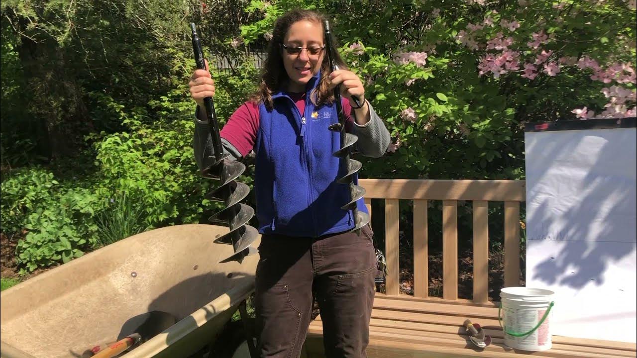 Van Vleck's Guide to Planting Bulbs Dig, Drop, Done! YouTube