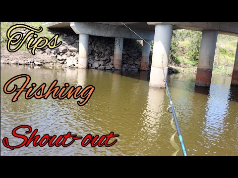 Herring fishing tips and a shout-out on a short fishing adventure