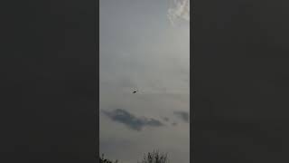 NYC Views Hudson River Park#shorts #manhattanneighborhood #manhattanview #travel #manhattanskyline