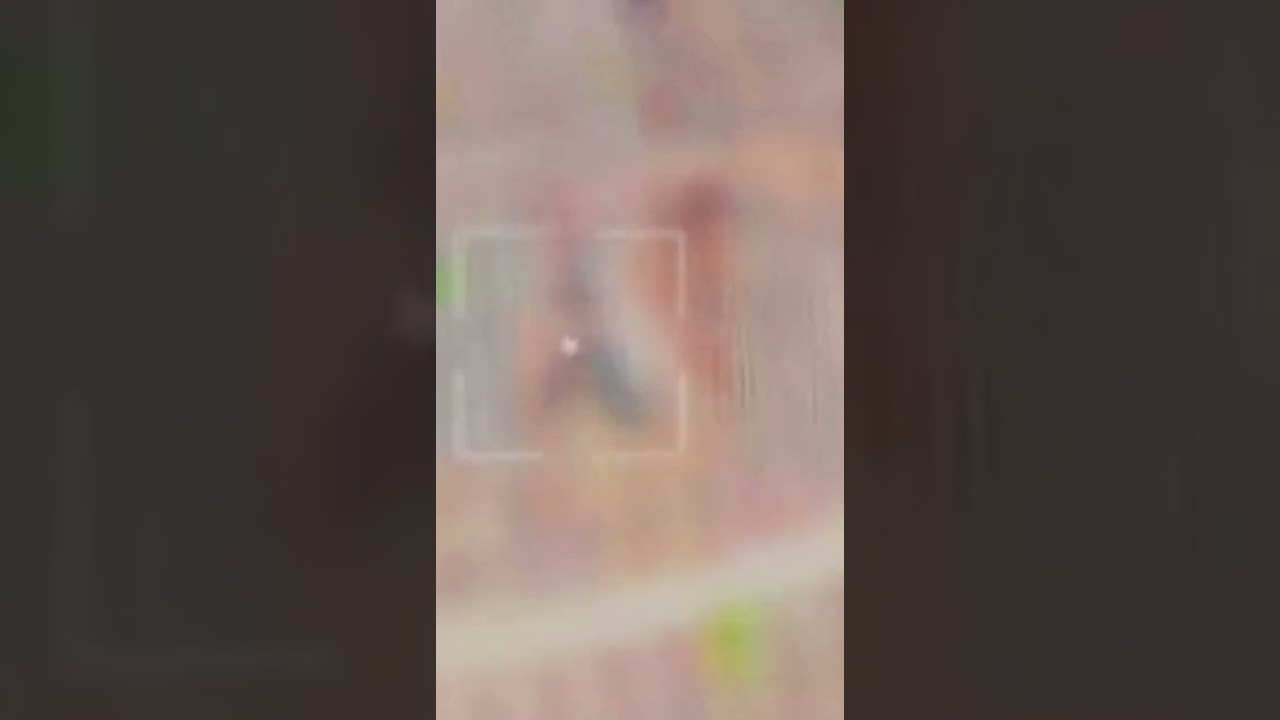 Rain quail sound.rain quail calling.chinga bater ke awaz .chinga male ke awaz