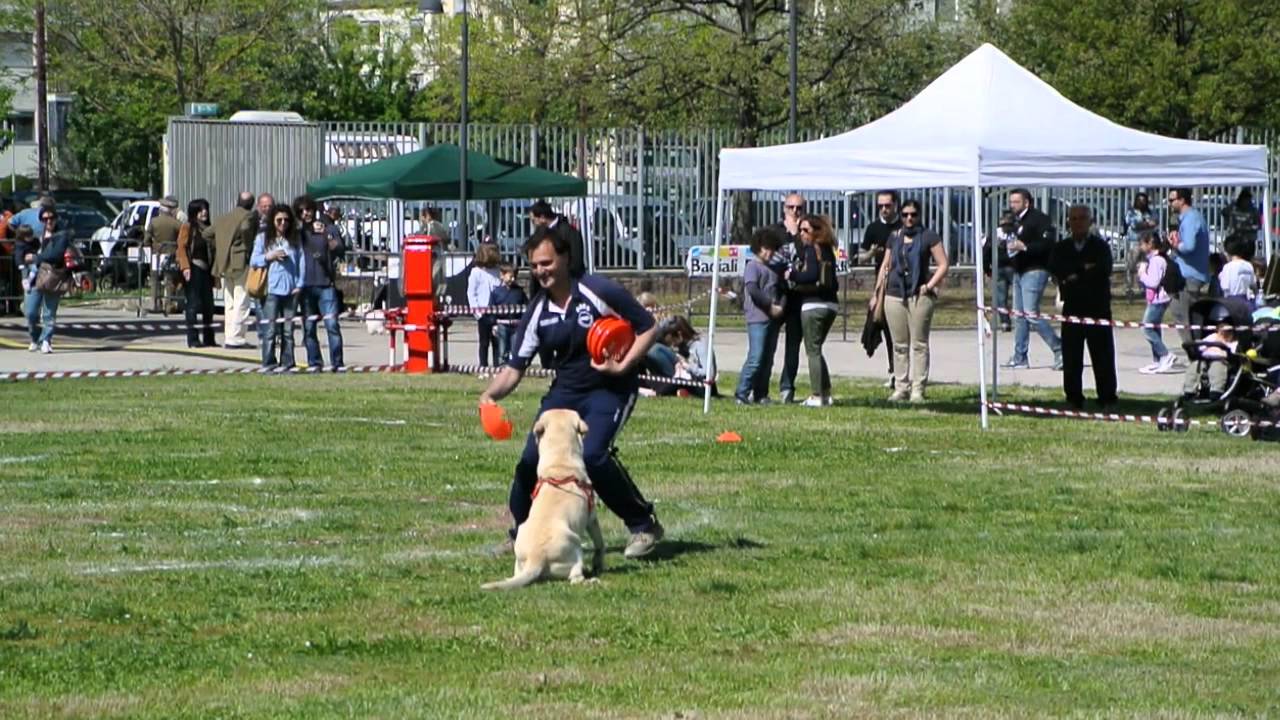 Disc Dog CSEN Disc Dog Italia Ravenna 25_04_12