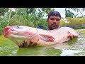 Amazing Catch Lot of Big Fish by Cast Net in Pond | New Big Cast Net Fishing