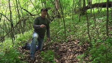 Scouting Summer Buck Beds