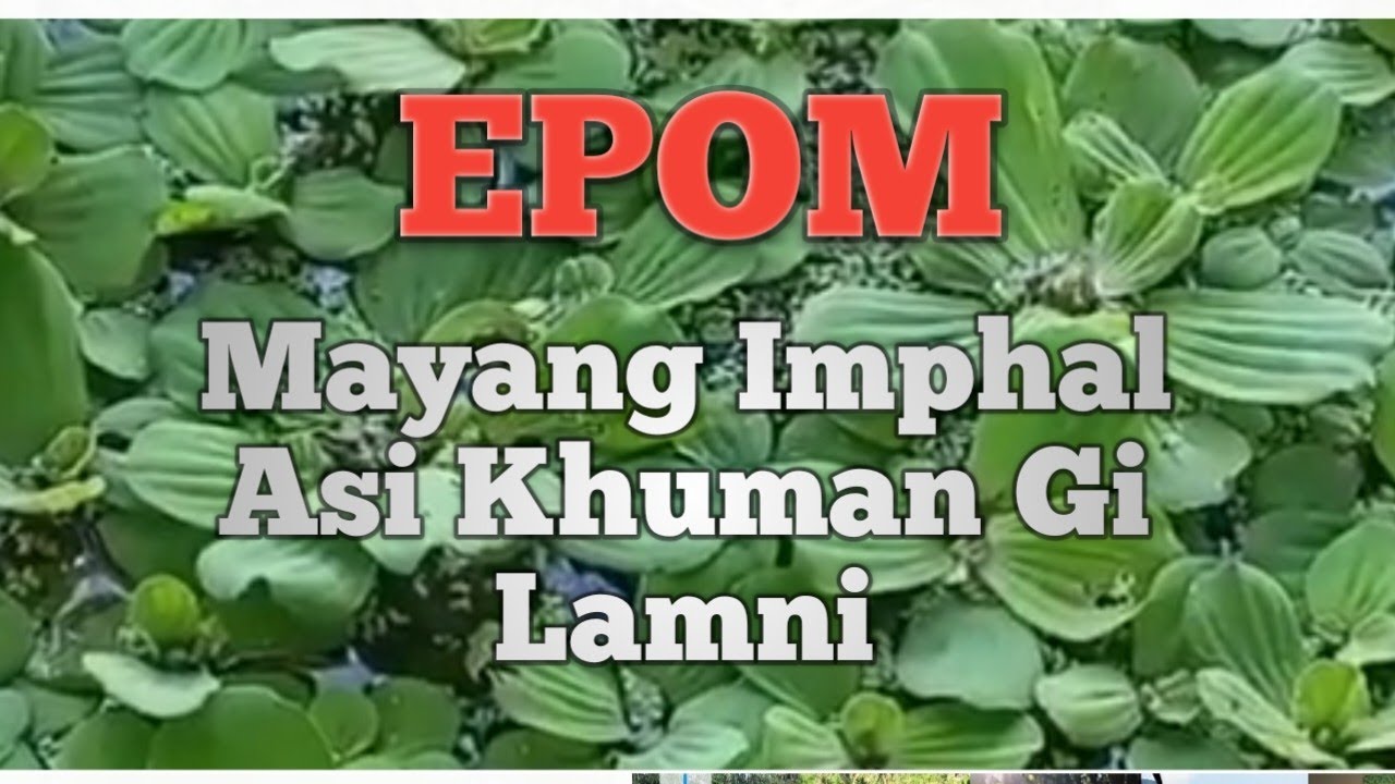 Mayang Imphal Asi Khuman gi Lamni #epom #viralvideo#manipuri