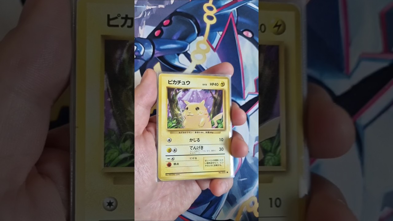 Pokepoke 챌린지 시즌23/ 포켓몬카드