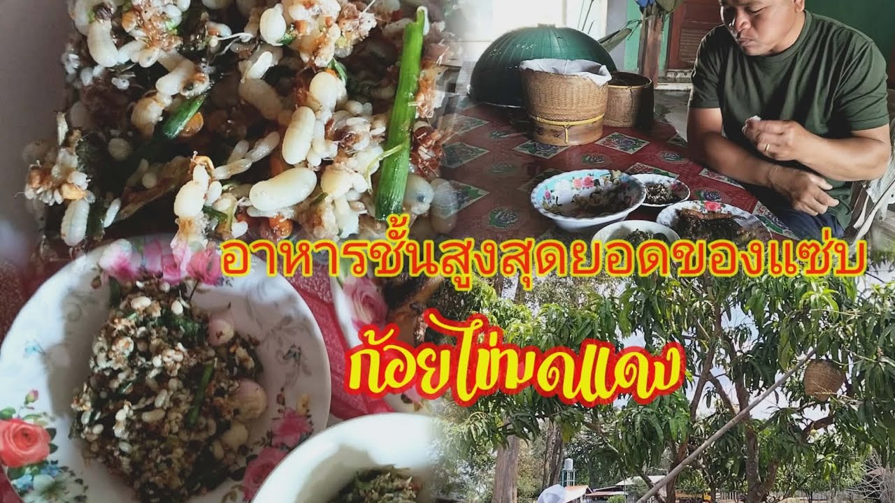 #ไปหาแย่หมดแดง