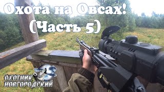 Охота на Овсах! (часть 5)