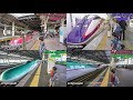 Our son's Shinkansen experience / Daddy and Son Japan Trip 2019