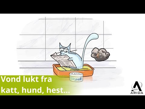 Hvordan fjerne lukt fra dyr som hund, katt, hest?