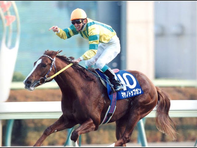 中央競馬年鑑 1995 年度代表馬 マヤノトップガン - YouTube
