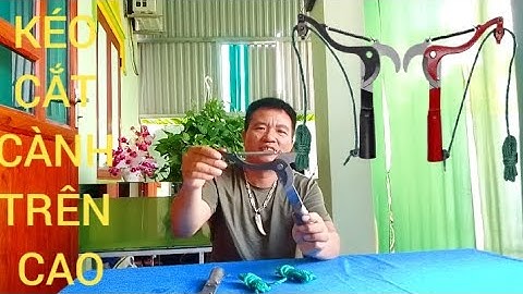 ĐẦU KÉO CẮT TỈA CÀNH CÂY TRÊN CAO KIÊM HÁI HOA QUẢ THUẬN TIỆN CHO MỌI GIA ĐÌNH MÌNH 