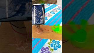 Easy simple project solar #diy #trending #solar #project #ideas #raki