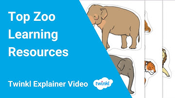 Top Zoo Learning Resources