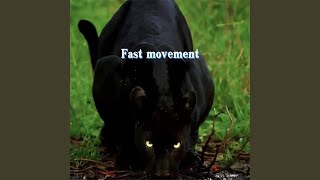Fast movement