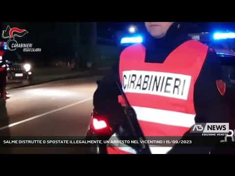 SALME DISTRUTTE O SPOSTATE ILLEGALMENTE, UN ARRESTO NEL VICENTINO | 15/09/2023