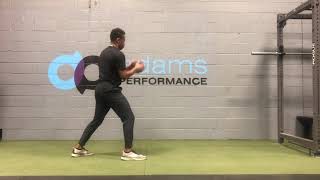 Split Stance Med Ball Chop Downs