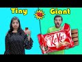 Tiny Vs Giant Food Challenge Part - 1| Small Vs Big Food Challenge | Hungry Birds