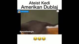 Ateist Kedi Amerikan Dublaj