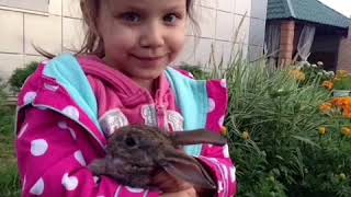 Как менялась Вики Шоу❤️ Как менялась Вики Шоу❤️