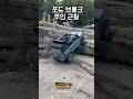 포드 브롱크 주인 근황