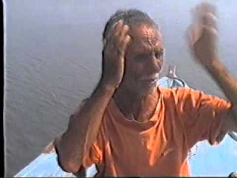 كارثة امام عزبة المامور علي نهر النيل اشمون منوفية