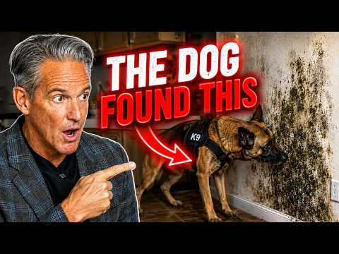 SHE TRAINED HER DOG TO FIND WHAT DOCTORS COULDN'T