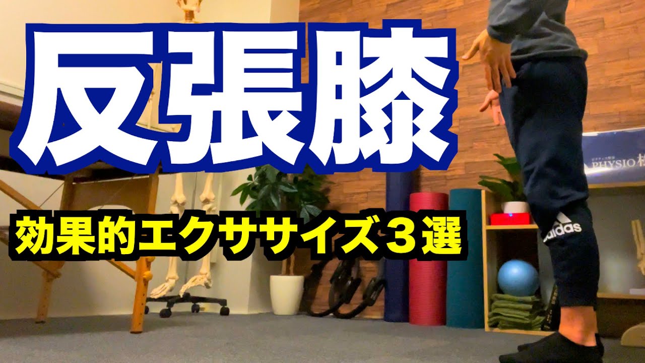 【反張膝　治し方】女性に多い反張膝！効果抜群エクササイズ３選！【愛媛県松山市　ピラティス・整体】