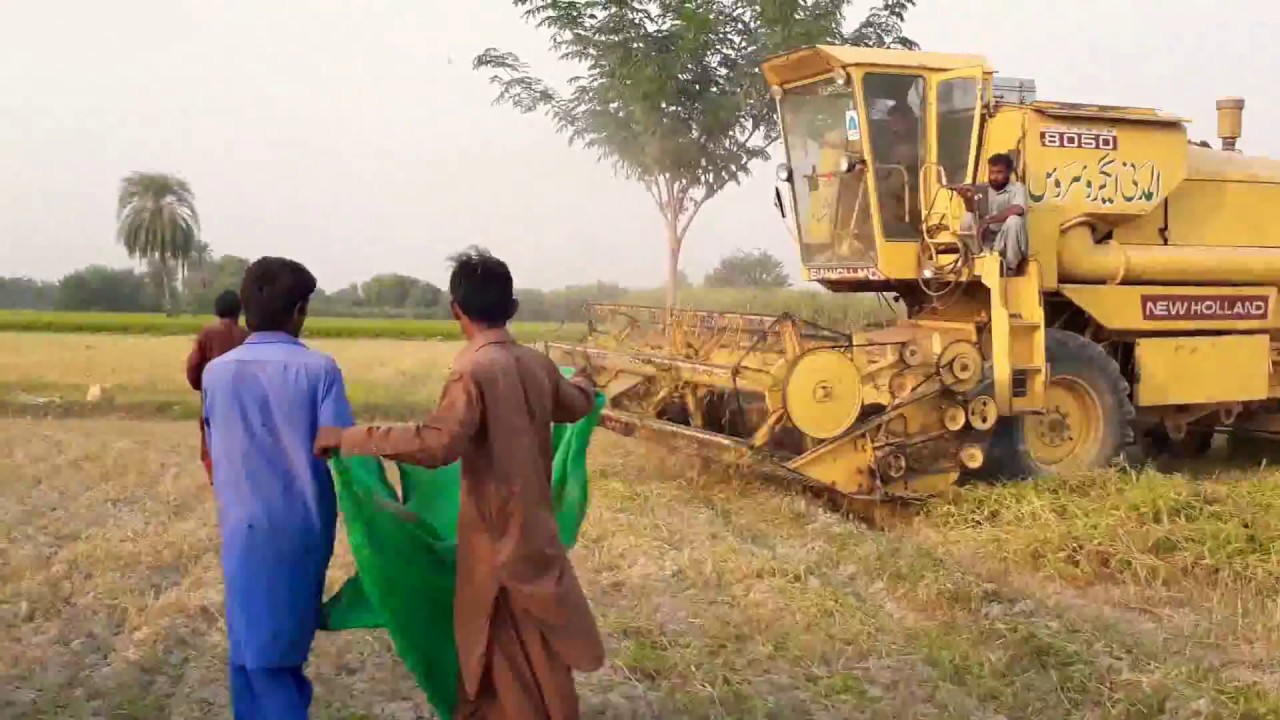 COMBINE HARVESTER MACHINE NEW HOLLAND CUTTING GRASS DANGEROUS STUNT