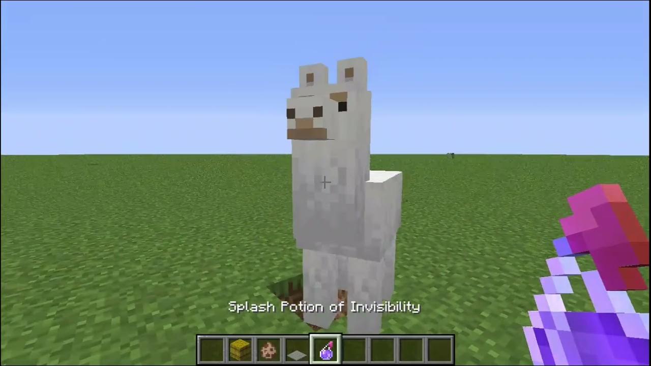 Flying Carpet in Minecraft YouTube