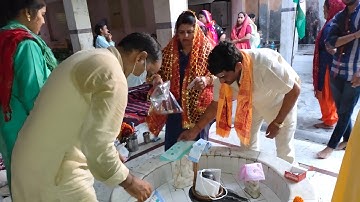 Rudra abhishek with 11 Things in Mauritius #Shiv abhishek