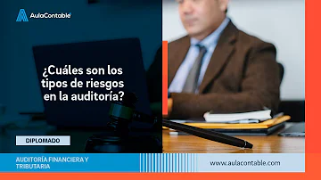 ¿Cuáles son los 4 tipos de riesgo de auditoría?