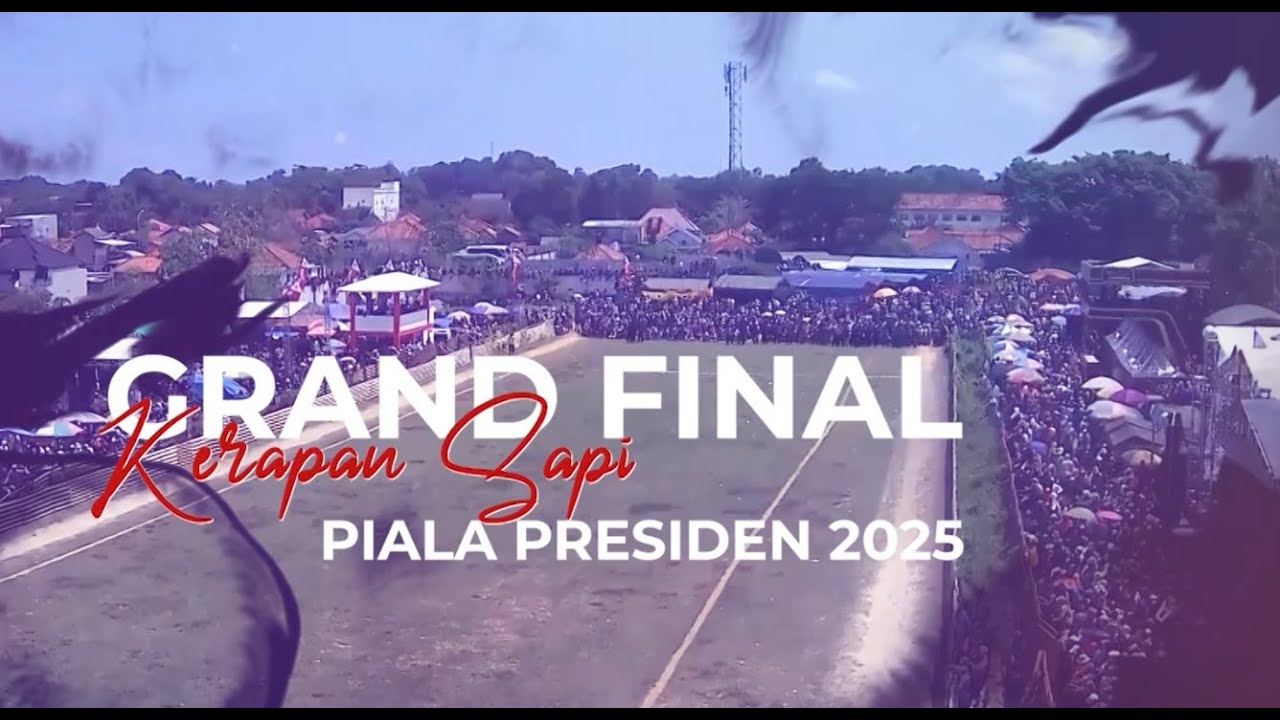 Grand Final Karapan Sapi Piala Presiden 2025 | Event 22 Oktober 2025