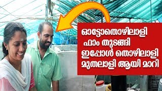 പ്രവാസികൾക്ക് ഒരു മാതൃക ആണ് | oscar fish breeding malayalam | guppy fish breeding malayalam