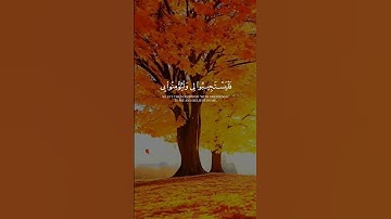 وَإِذَا سَأَلَكَ عِبَادِي عَنِّي فَإِنِّي قَرِيبٌ | القارئ عبد الباسط Abdulbasit surah albaqara